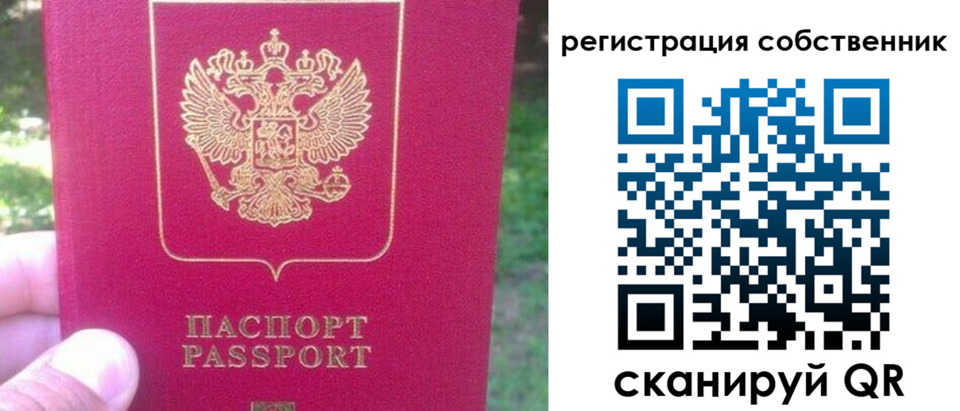 временная регистрация 2025 в Поворино